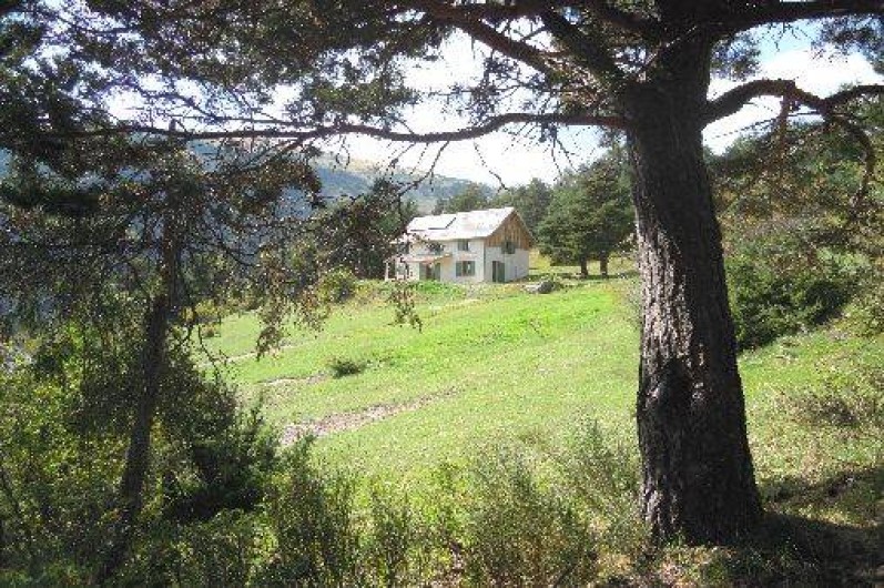 Location de vacances - Gîte à Auzet