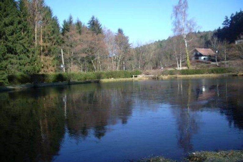 Location de vacances - Chalet à Luttenbach-prés-Munster