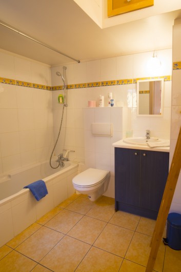 Location de vacances - Maison - Villa à Rosheim - Salle de bains avec baignoire - toilettes - rangements