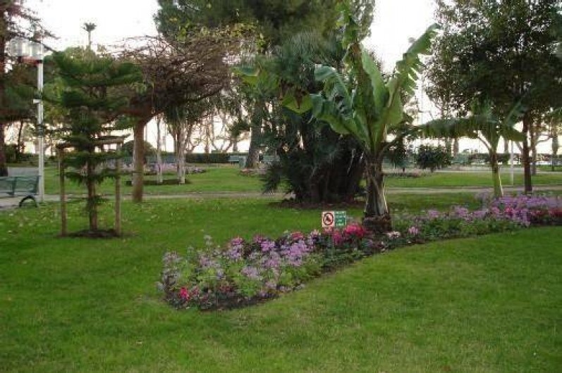 Location de vacances - Appartement à Cannes