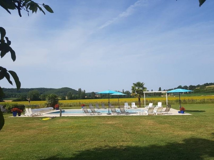 Location de vacances - Gîte à Roquecor - Piscine au milieu des champs
