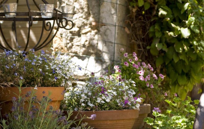 Location de vacances - Gîte à Lirac - Le puits