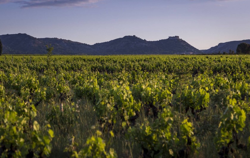 Location de vacances - Gîte à Lirac - Vue sur le château de Saint Victor
