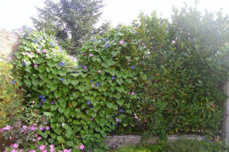 Location de vacances - Gîte à La Chapelle-aux-Naux - LES FLEURS