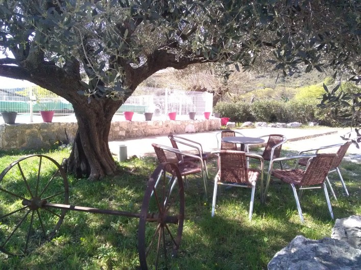 Location de vacances - Gîte à Seynes - SALON sous l'olivier centenaire terrain de PÉTANQUE
