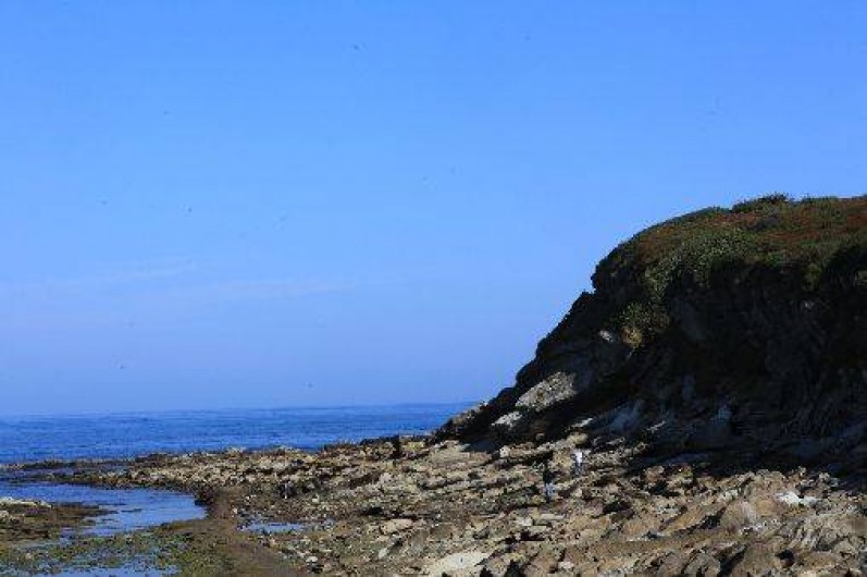 Location de vacances - Appartement à Hendaye