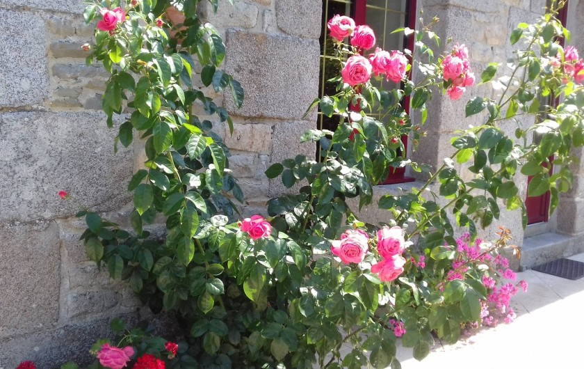 Location de vacances - Maison - Villa à Pontorson