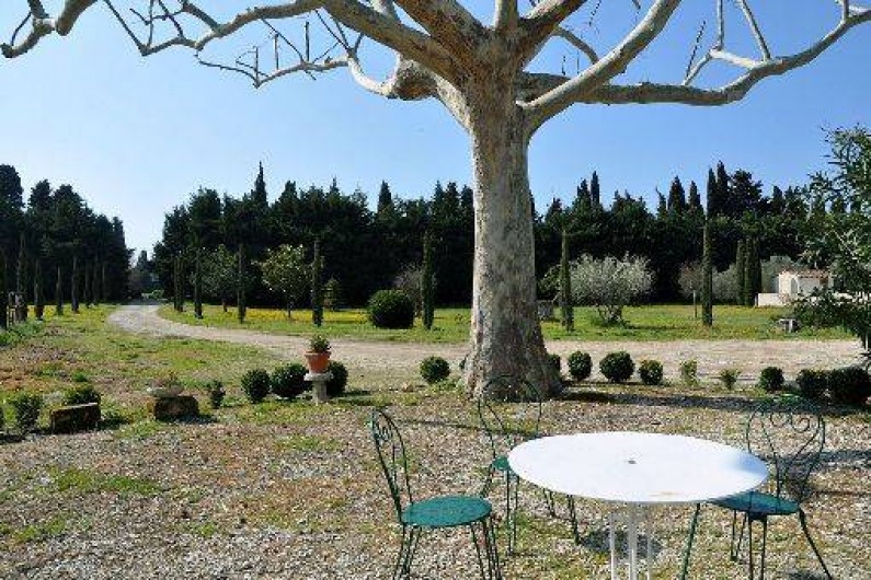 Location de vacances - Maison - Villa à Saint-Rémy-de-Provence