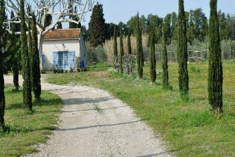 Location de vacances - Maison - Villa à Saint-Rémy-de-Provence
