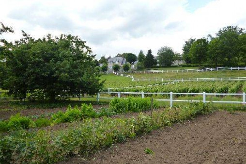 Location de vacances - Gîte à Noizay