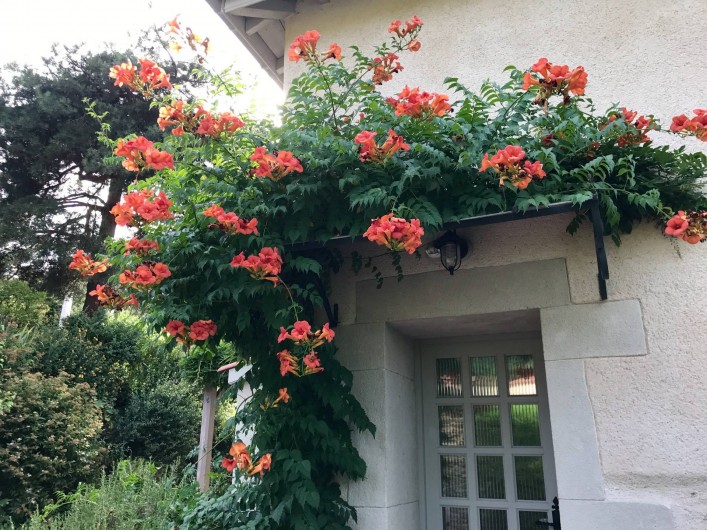 Location de vacances - Gîte à Chagnon