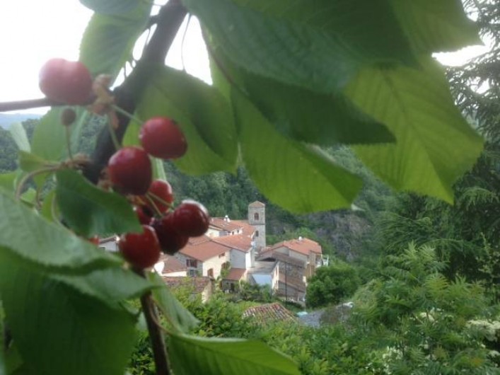 Location de vacances - Gîte à Chagnon