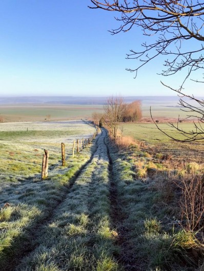 Location de vacances - Château - Manoir à Mesnil-Verclives - une petite ballade juste à coté dans les champs de lin et colza
