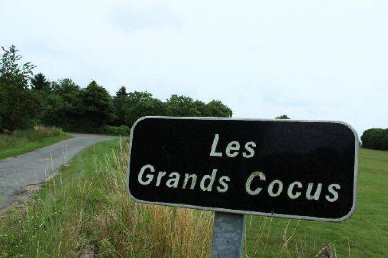 Location de vacances - Gîte à Neuvy-sur-Loire