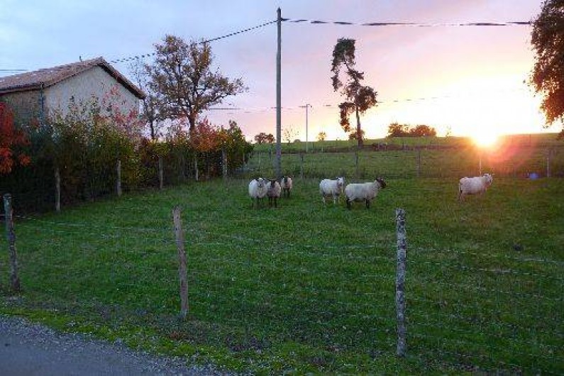 Location de vacances - Gîte à Ambernac
