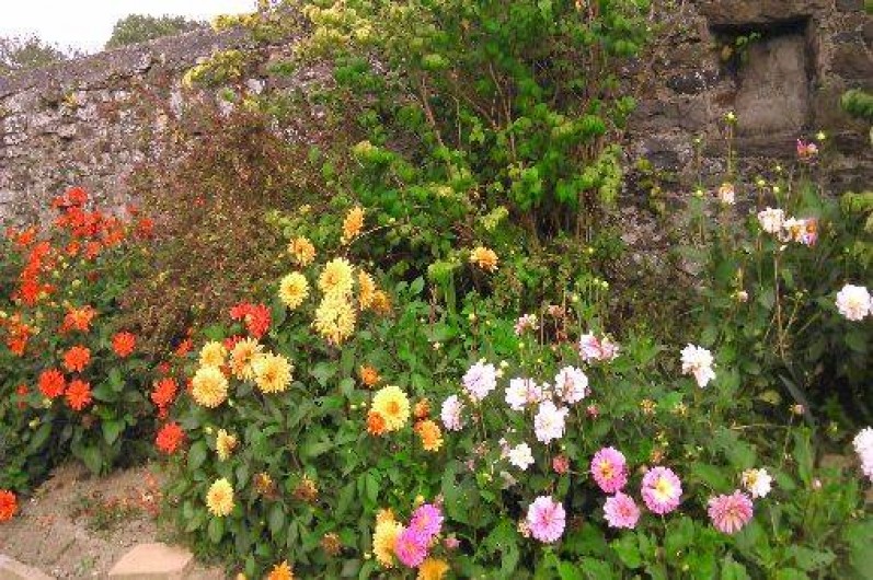 Location de vacances - Villa à Denneville