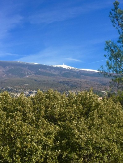 Location de vacances - Mas à Bédoin