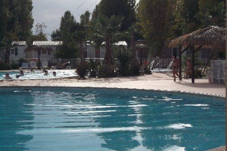 Location de vacances - Camping à Fréjus