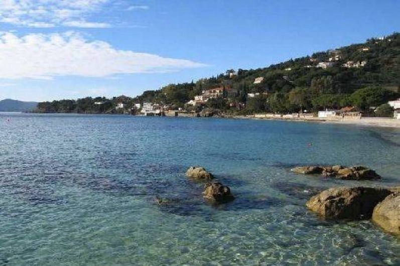 Location de vacances - Appartement à Le Lavandou