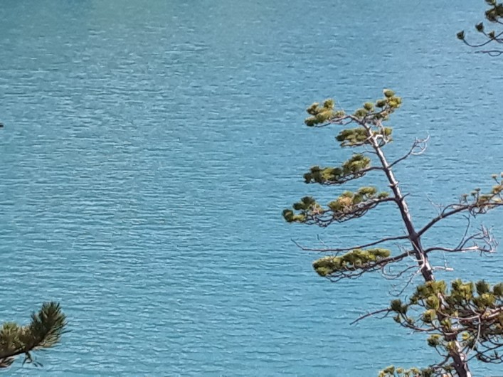 Location de vacances - Chalet à Castellane