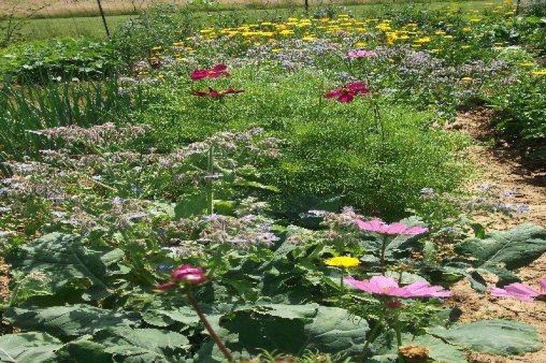 Location de vacances - Chalet à Foulenay