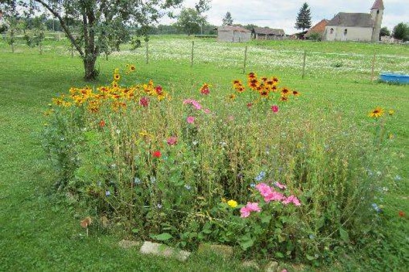 Location de vacances - Chalet à Foulenay