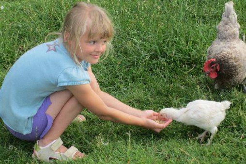 Location de vacances - Chalet à Foulenay