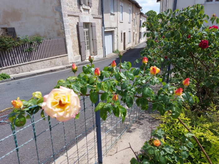 Location de vacances - Gîte à Aubeterre-sur-Dronne