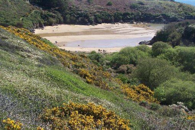 Location de vacances - Appartement à Le Palais