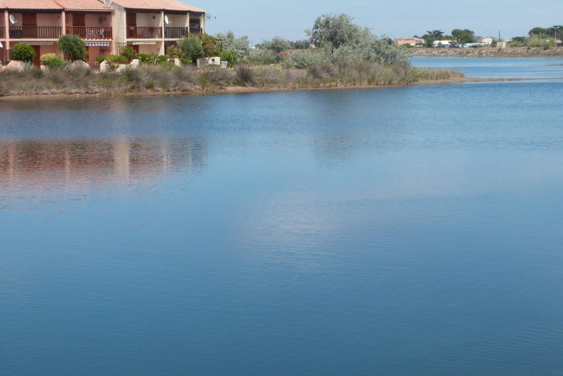 Location de vacances - Villa à Gruissan Plage - la résidence au bord de l'étang