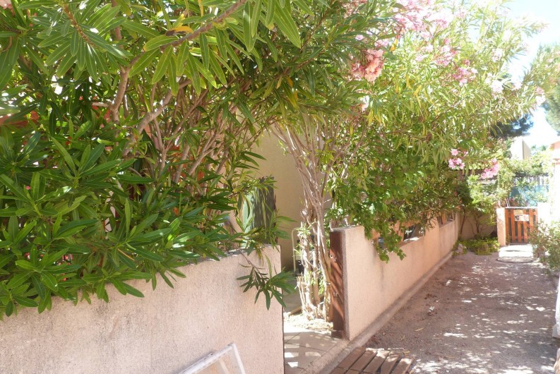 Location de vacances - Villa à Gruissan Plage - l'entrée du jardin