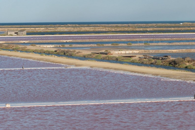 Location de vacances - Villa à Gruissan Plage - les marais salans