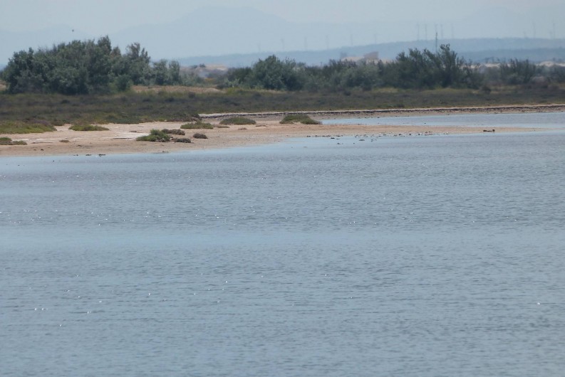 Location de vacances - Villa à Gruissan Plage - les étangs
