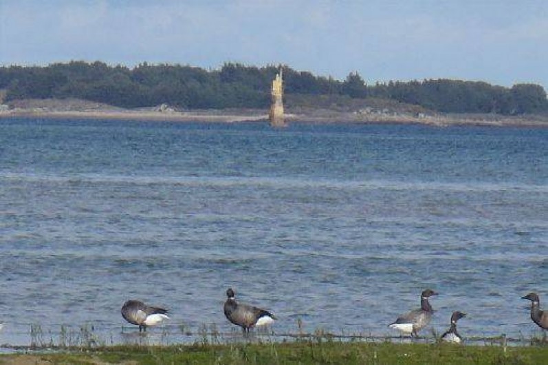 Location de vacances - Gîte à Lanmodez