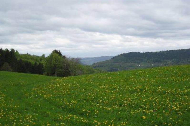 Location de vacances - Chalet à Le Thillot