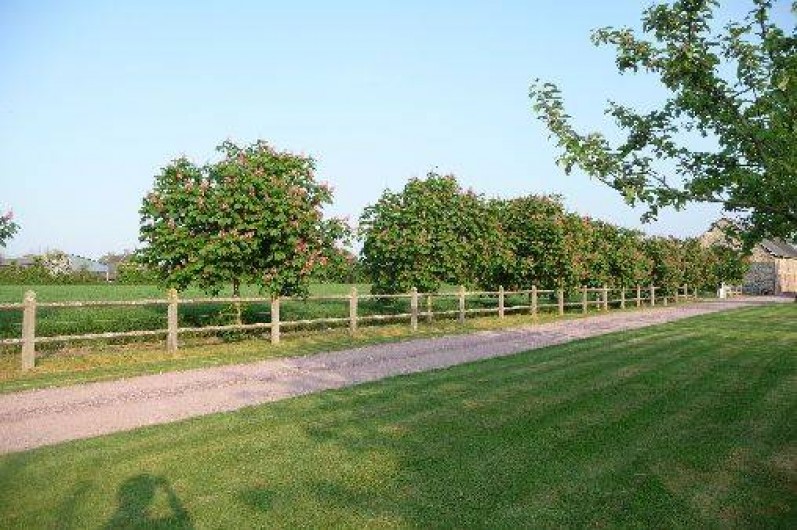 Location de vacances - Gîte à Feugères