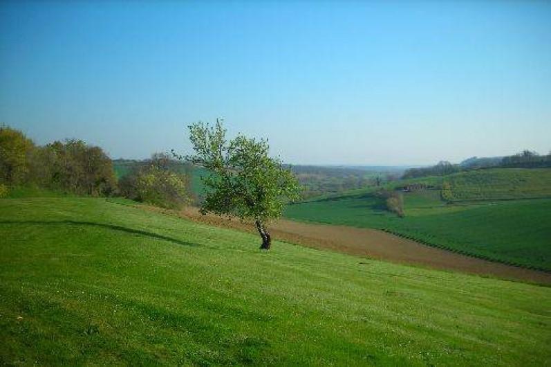 Location de vacances - Maison - Villa à Martisserre