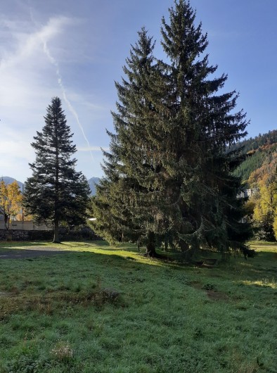 Location de vacances - Appartement à Le Mont-Dore - Vue extérieure de la pièce de vie