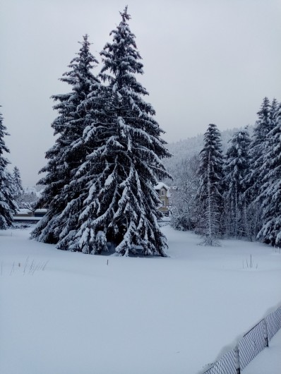 Location de vacances - Appartement à Le Mont-Dore - Vue extérieure de la pièce de vie