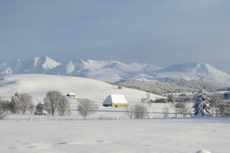 Location de vacances - Chalet à Picherande