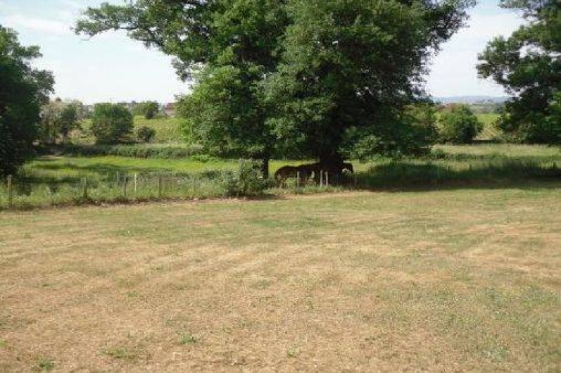 Location de vacances - Gîte à Fleurie