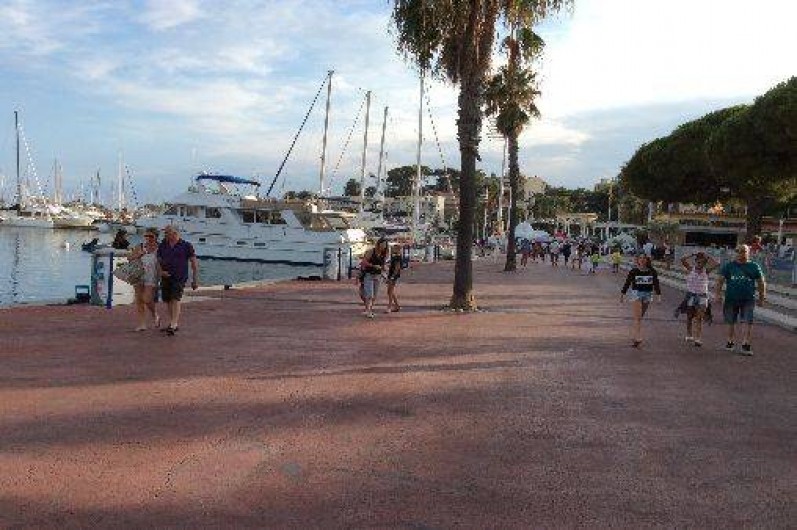 Location de vacances - Studio à Bandol