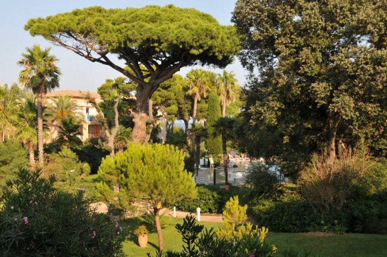 Location de vacances - Appartement à Hyères