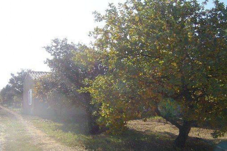 Location de vacances - Villa à La Baume-de-Transit