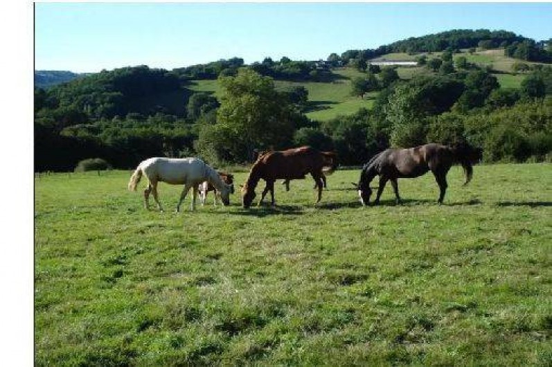 Location de vacances - Maison - Villa à Ferrières-sur-Sichon