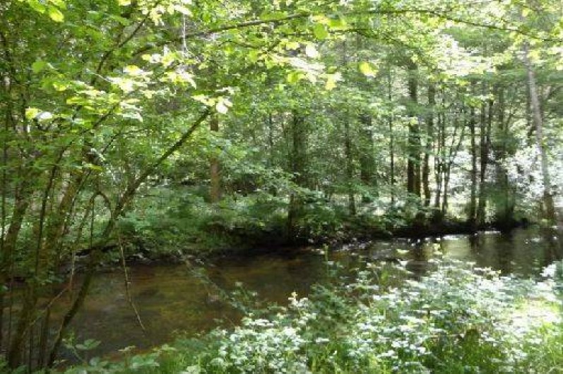 Location de vacances - Maison - Villa à Ferrières-sur-Sichon