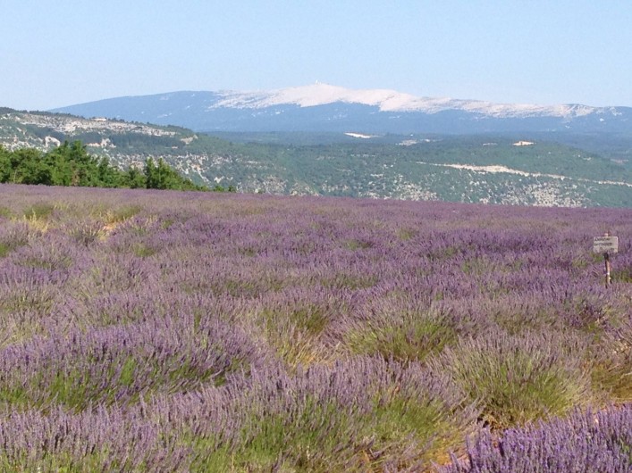 Location de vacances - Gîte à Villes-sur-Auzon