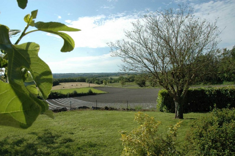 Location de vacances - Maison - Villa à Lauzerte - belle vue de la terrasse
