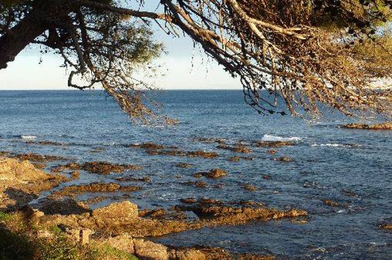 Location de vacances - Villa à Les Issambres