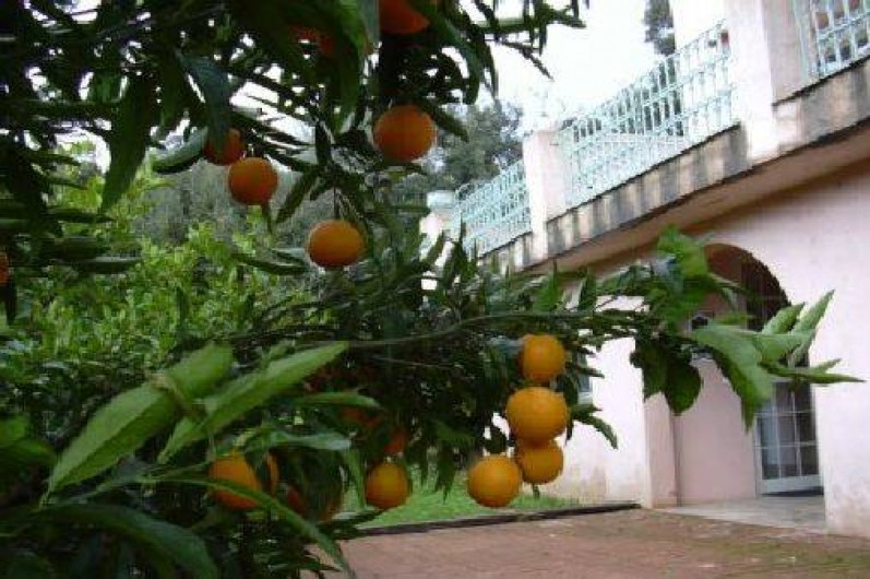 Location de vacances - Studio à Porto-Vecchio